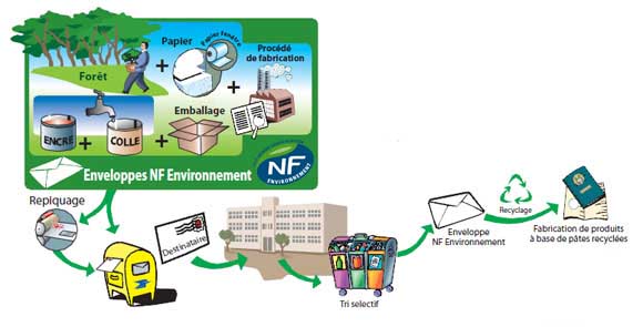 Schéma NF Environnement
